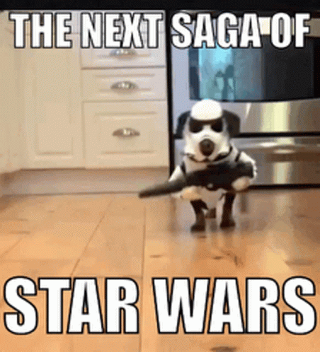 The Next Saga Of Funny Star Wars GIF