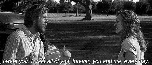 The Notebook I Want All Of You Line GIF