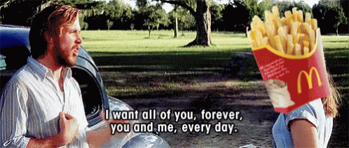 The Notebook I Want All Of You Mcdonalds Fries GIF