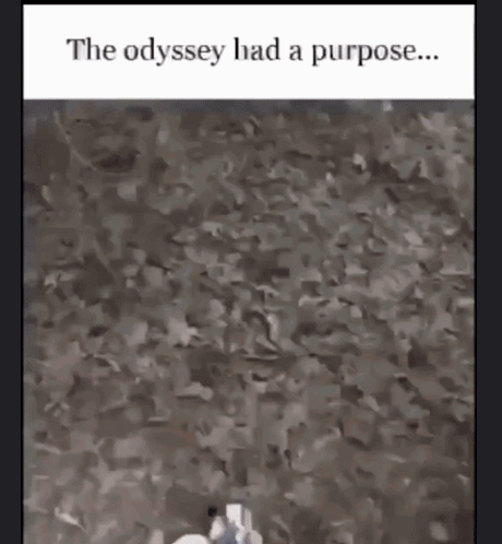 The Odyssey Had A Purpose Written At The Top Of A Picture GIF