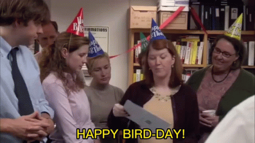 The Office Happy Birthday Meredith Palmer GIF