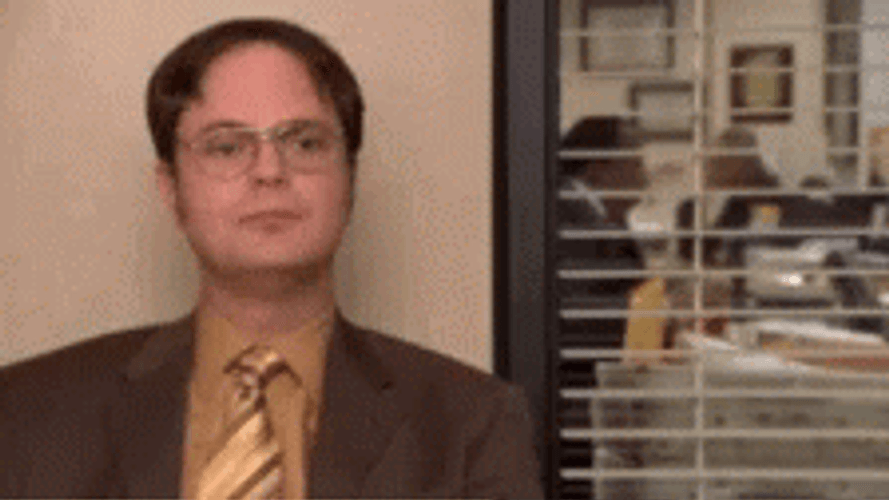 The Office Dwight Schrute Learn Your Rules GIF
