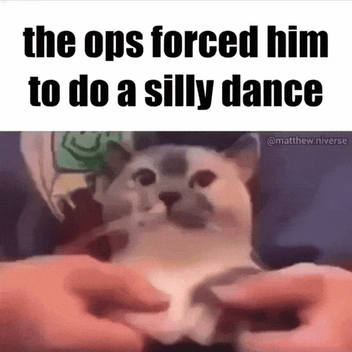 The Ops Forced Him To Do A Silly Dance With A Cat In The Foreground GIF
