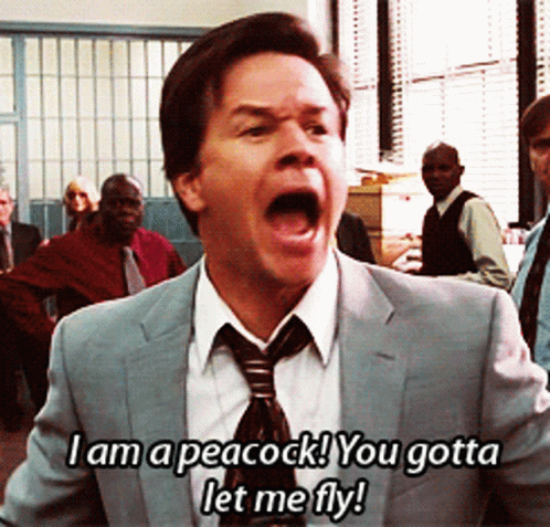 The Other Guys Mark Wahberg GIF