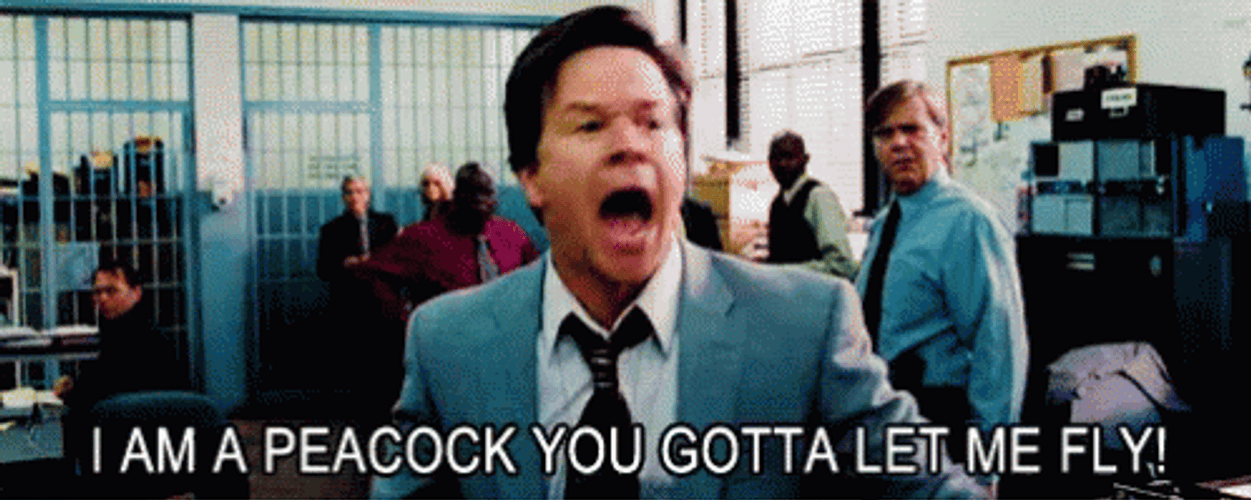 The Other Guys I Am Peacock GIF