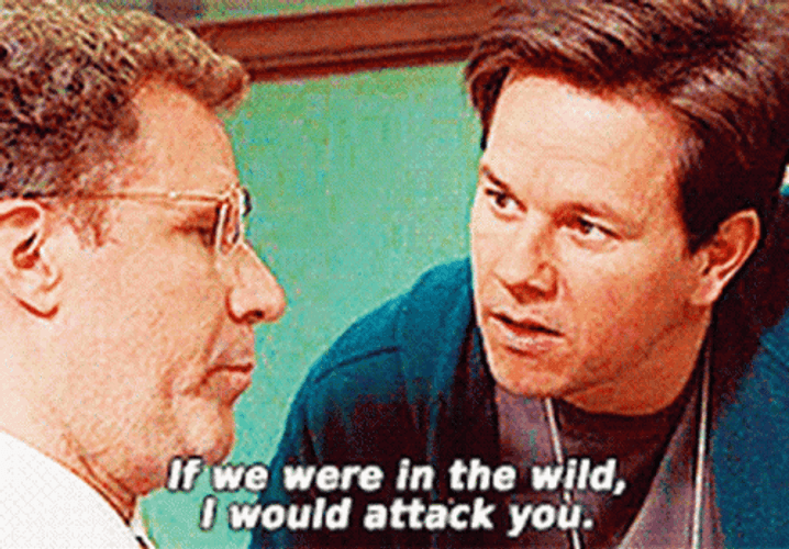 The Other Guys I Would Attack You GIF