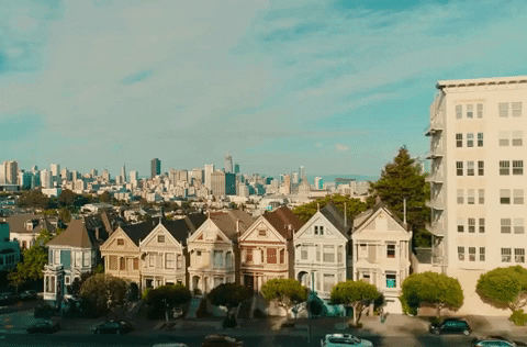 The Painted Ladies In California GIF