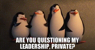 The Penguins Are You Questioning My Leadership GIF