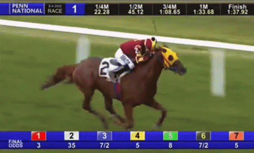 The Penn National Race Is Being Shown On A Computer Screen GIF