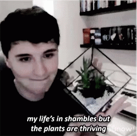 The Plants Are Thriving GIF