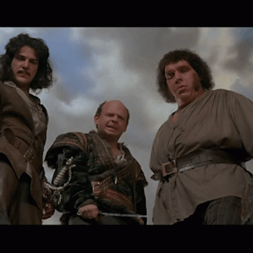 The Princess Bride Movie Inconceivable GIF