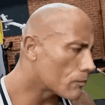 The Rock Among Us Face App Meme GIF