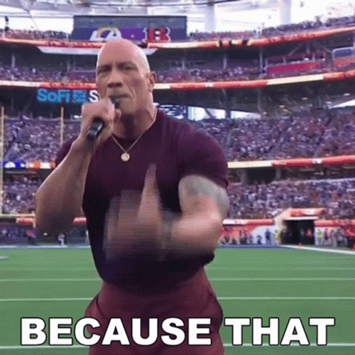 The Rock Champion GIF