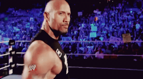 The Rock Eyebrow Meme On Raw GIF