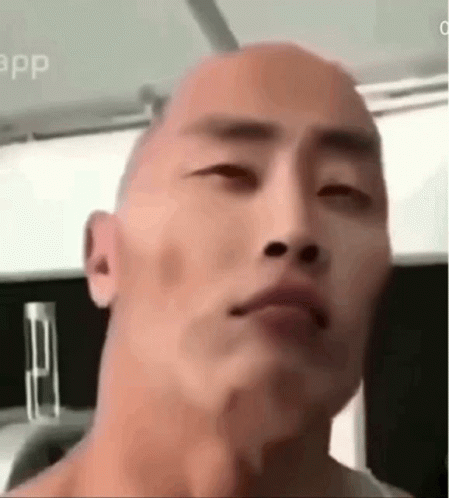The Rock Eyebrow Meme With Chinese Face GIF