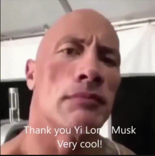The Rock Eyebrow Raise Chinese Filter Copy Version GIF