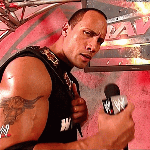 The Rock Holding Belt Doing Eyebrow Meme GIF