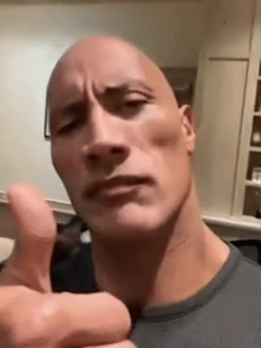 The Rock Meme 373 X 498 Gif GIF