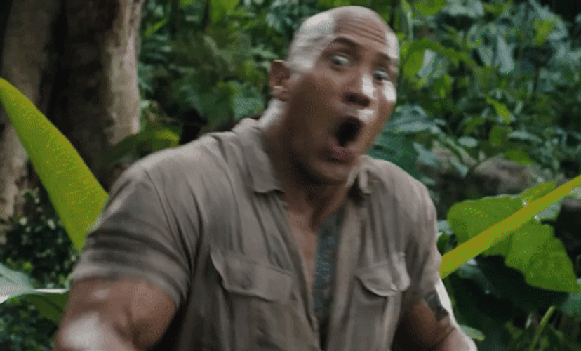The Rock Shocked Surprised GIF