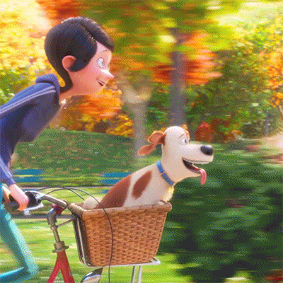 The Secret Life Of Pets Animation Riding Bike GIF