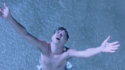The Shawshank Freedom Scene GIF