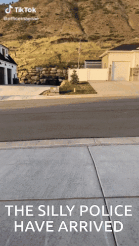 The Silly Police Have Arrived Written On A Street GIF