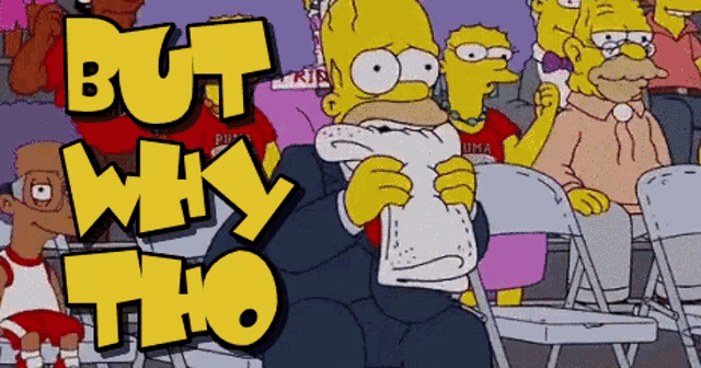 The Simpons Sitcom Homer Simpsons But Why GIF