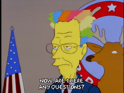 The Simpsons Are There Any Questions GIF