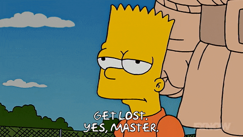 The Simpsons Bart Get Lost Yes Master GIF