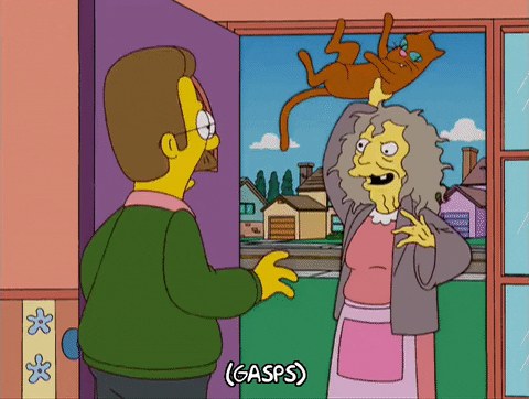 The Simpsons Cat Lady And Ned Flanders GIF