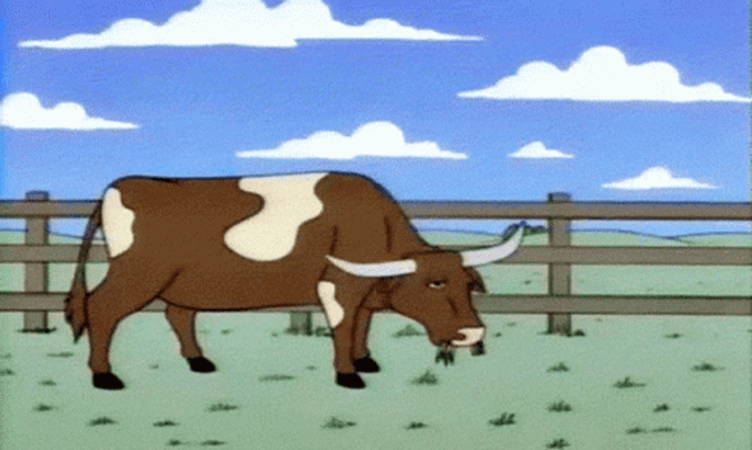 The Simpsons Cow Zoom In GIF