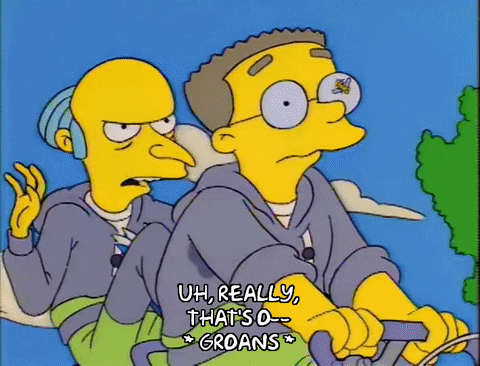 The Simpsons Epic Biking Experience GIF