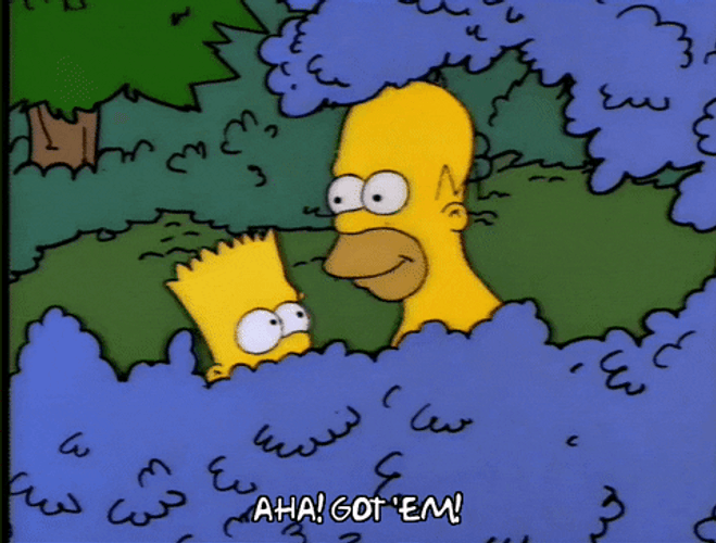The Simpsons Hiding Got Em! GIF