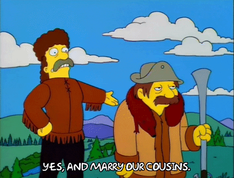 The Simpsons Hillbilly Shelbyville Manhattan Walking Sticks GIF