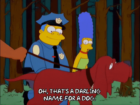 The Simpsons Name For A Dog GIF