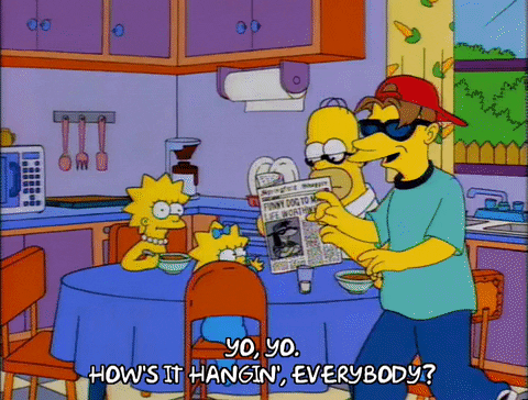 The Simpsons Roy Yo Yo Hows It Hanging GIF
