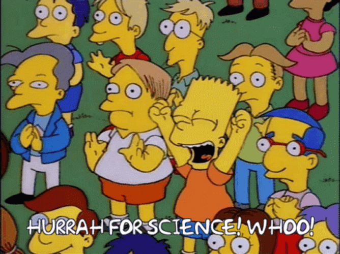 The Simpsons Sitcom Bart Hurrah For Science GIF