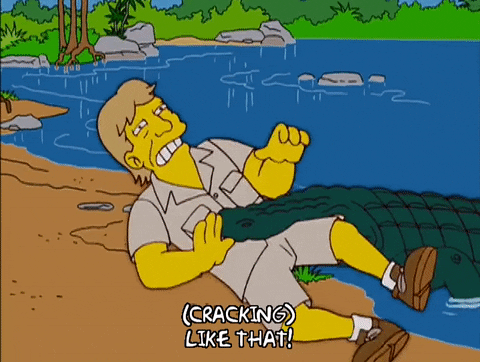 The Simpsons Steve Irwin Being Tossed By Croc GIF
