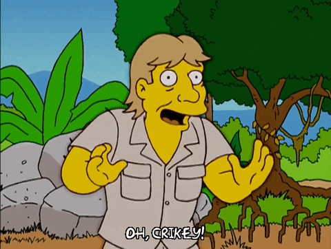 The Simpsons Steve Irwin Bitten By Croc GIF