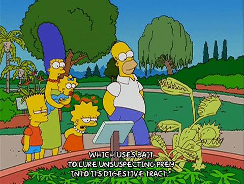 The Simpsons Venus Fly Trap GIF