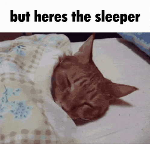 The Sleeper Cute Ginger Cat GIF