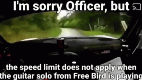 the speed limit does not apply when the guitar solo from free bird is playing ..