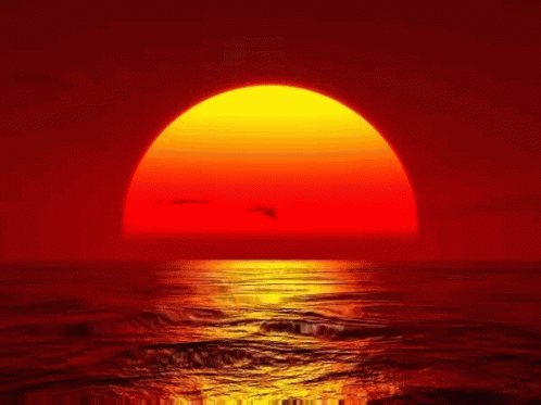 The Sun Is Setting Over The Ocean With Birds Flying Overhead GIF