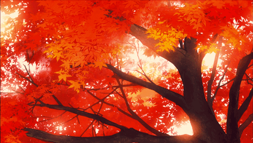 The Sun Is Shining Through The Leaves Of The Tree GIF
