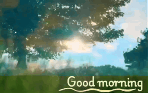 the sun is shining through the trees and the words good morning are visible
