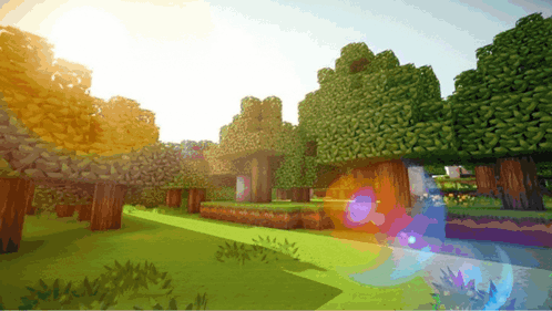 The Sun Is Shining Through The Trees In A Minecraft Scene GIF