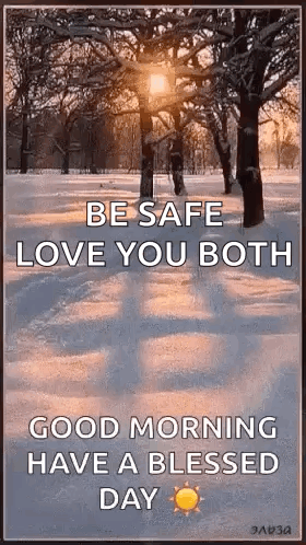 The Sun Is Shining Through The Trees In The Snow . GIF