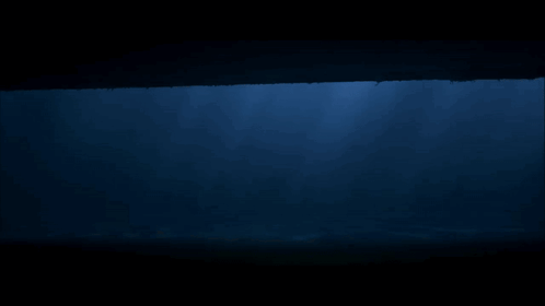 The Sun Is Shining Through The Water And Casting A Shadow GIF
