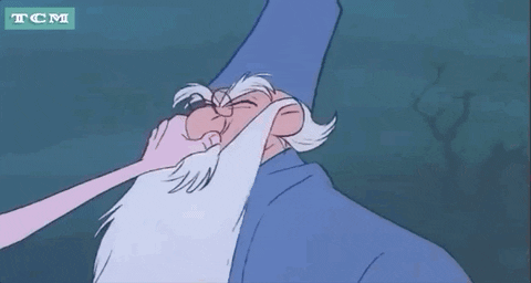 The Sword In A Stone Wizard GIF