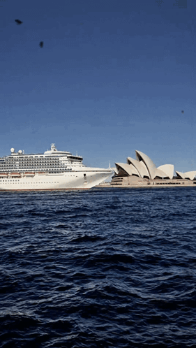 the sydney opera house is visible in the distance with a cruise ship in the foreground